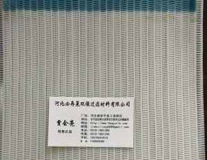聚酯螺旋干網(wǎng)